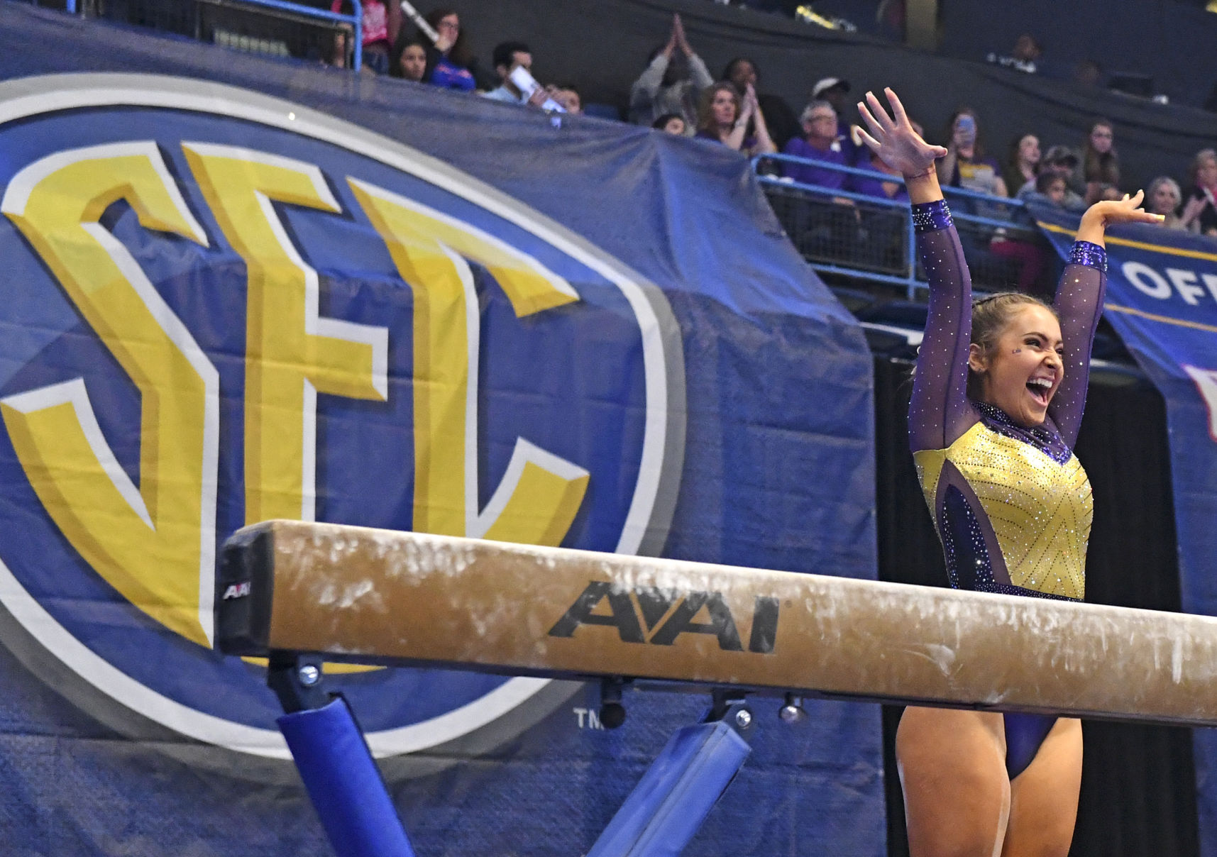lsugymnastics.032219 HS 2675.JPG